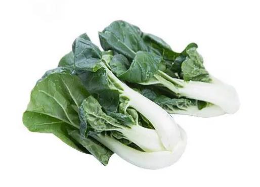 奶白菜.jpg 奶白菜.jpg