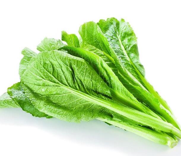 小芥菜.jpg 小芥菜.jpg