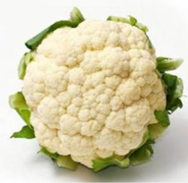 白花菜.jpg 白花菜.jpg